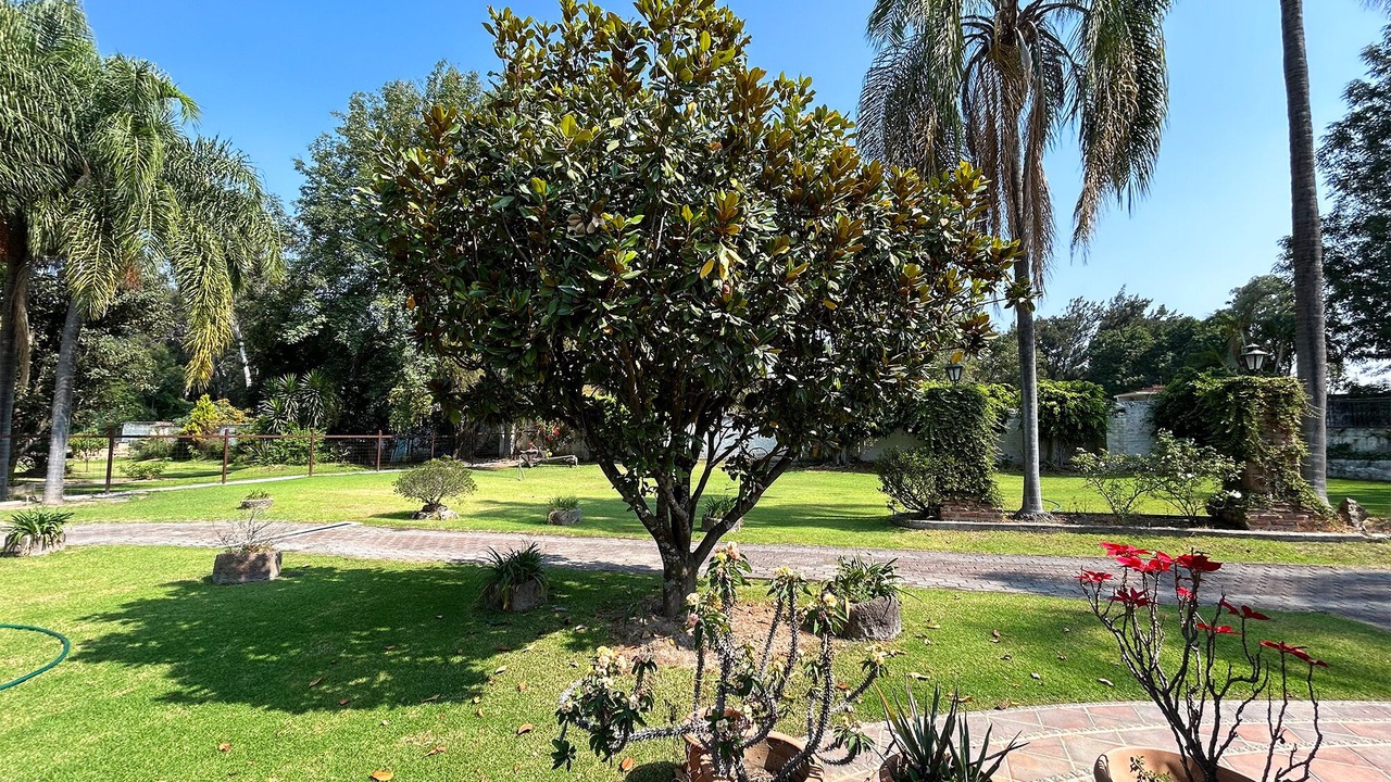 Photo of Outdoor in La Mojonera