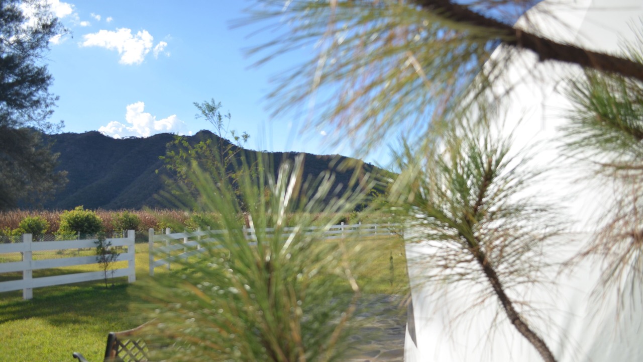 Photo of Outdoor in Mascota
