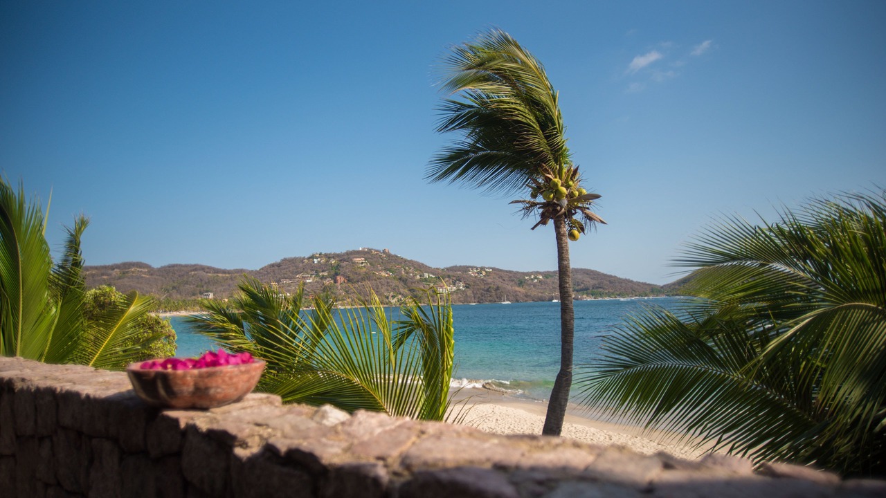 Photo of Others in Zihuatanejo