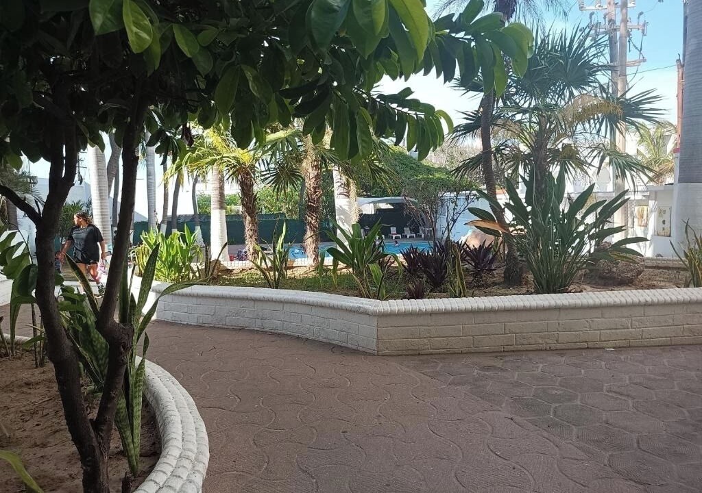 Photo of Others in Mazatlan