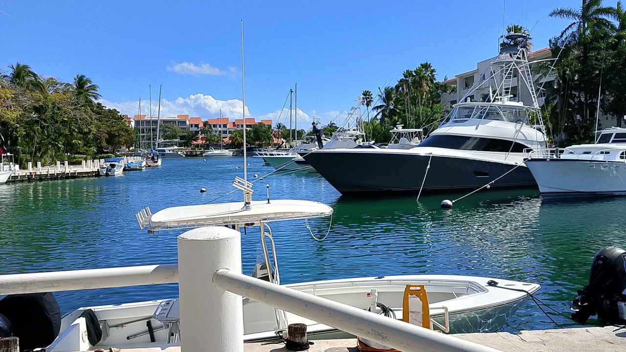 Photo of Others in Puerto Aventuras
