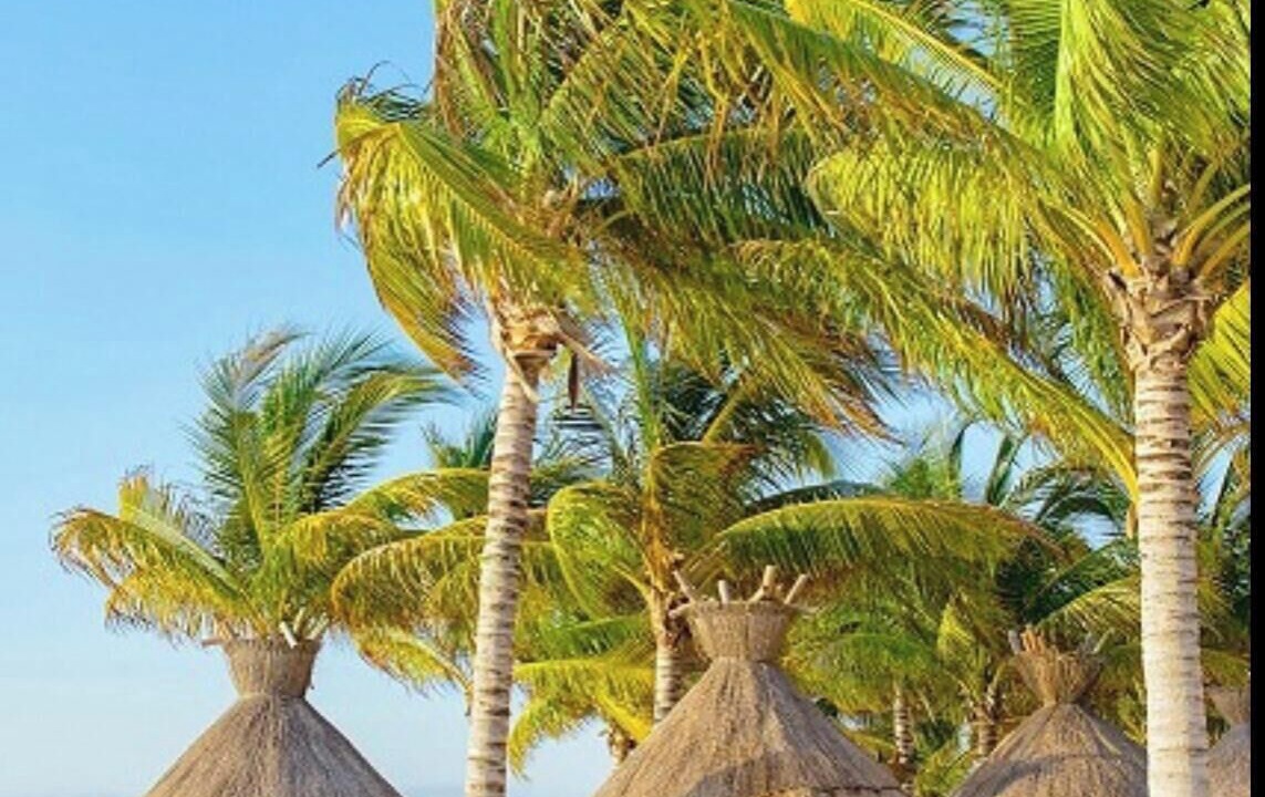 Photo of Others in Playa Mujeres