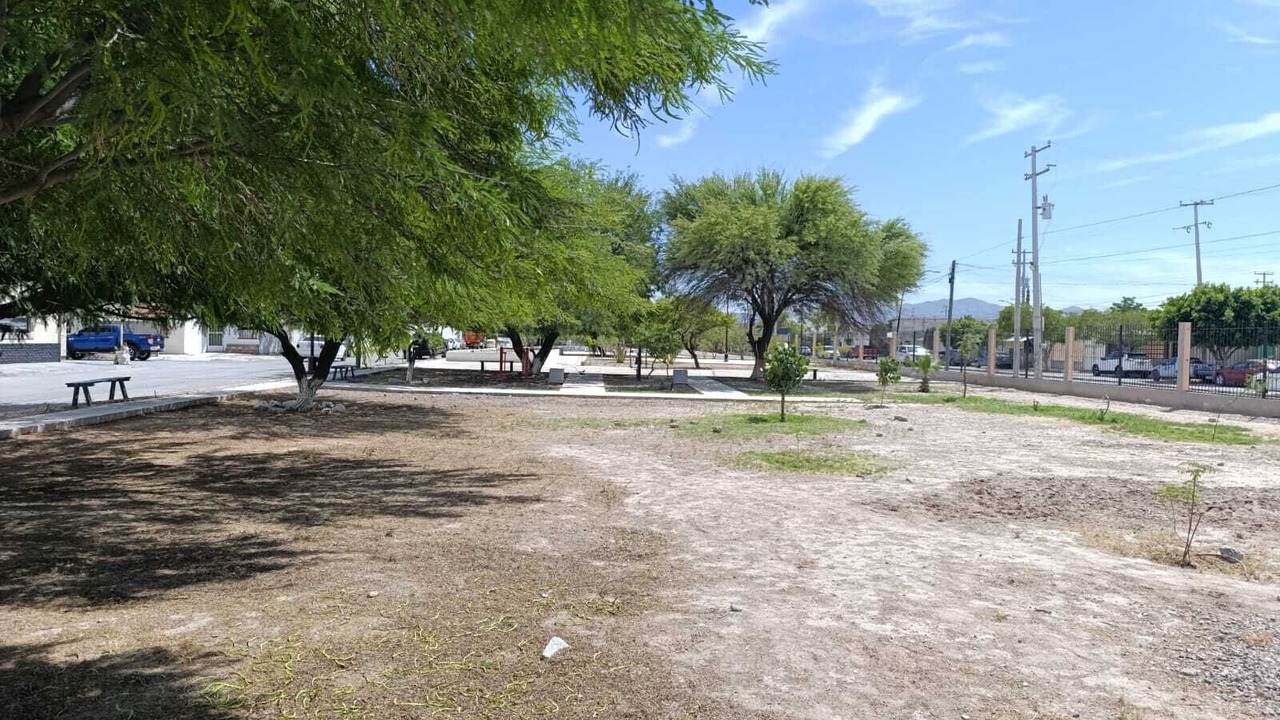 Photo of Others in Torreon