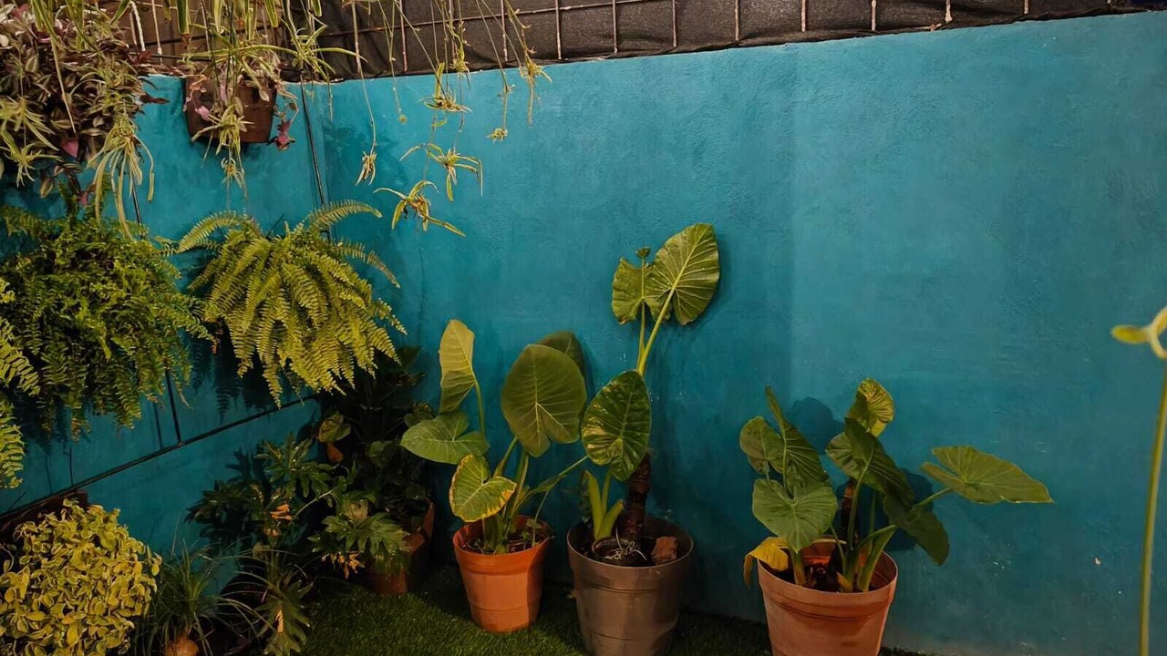 Photo of Outdoor in Tlajomulco de Zuniga
