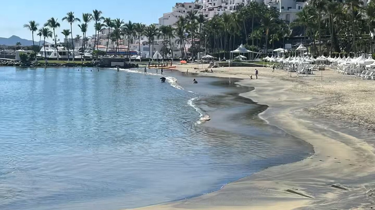 Photo of Others in Peninsulas de Santiago