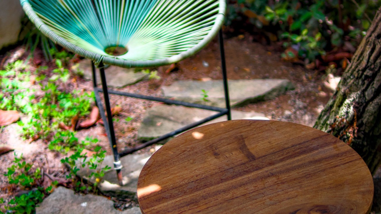 Photo of Outdoor in Lo de Marcos
