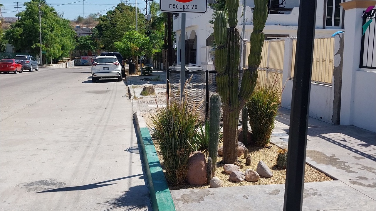 Photo of Others in Esterito