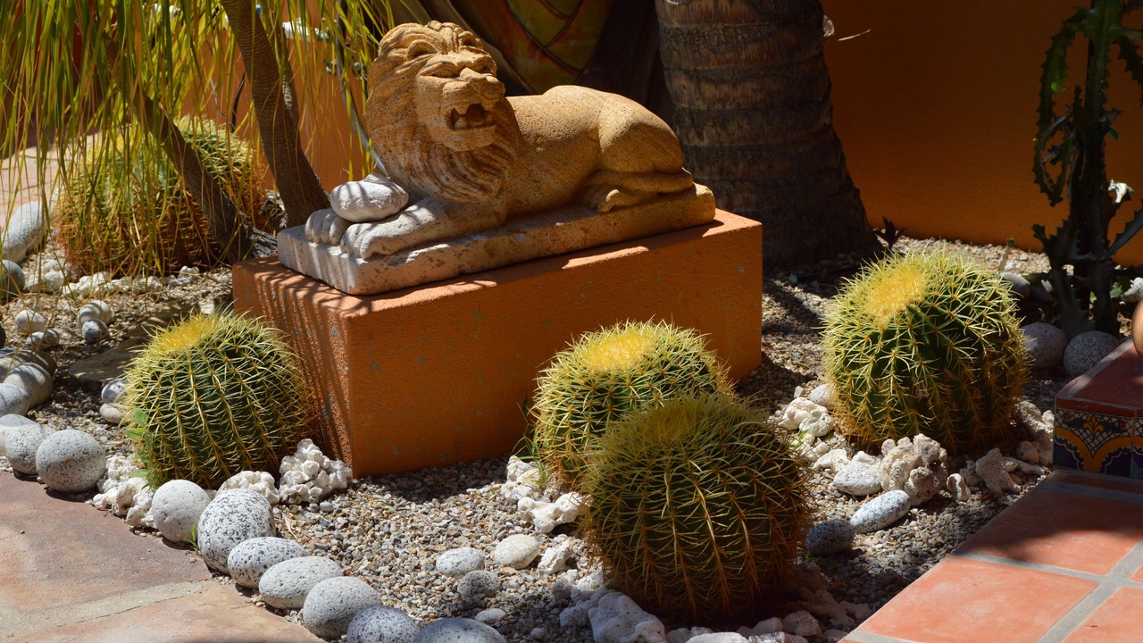 Photo of Outdoor in Los Barriles