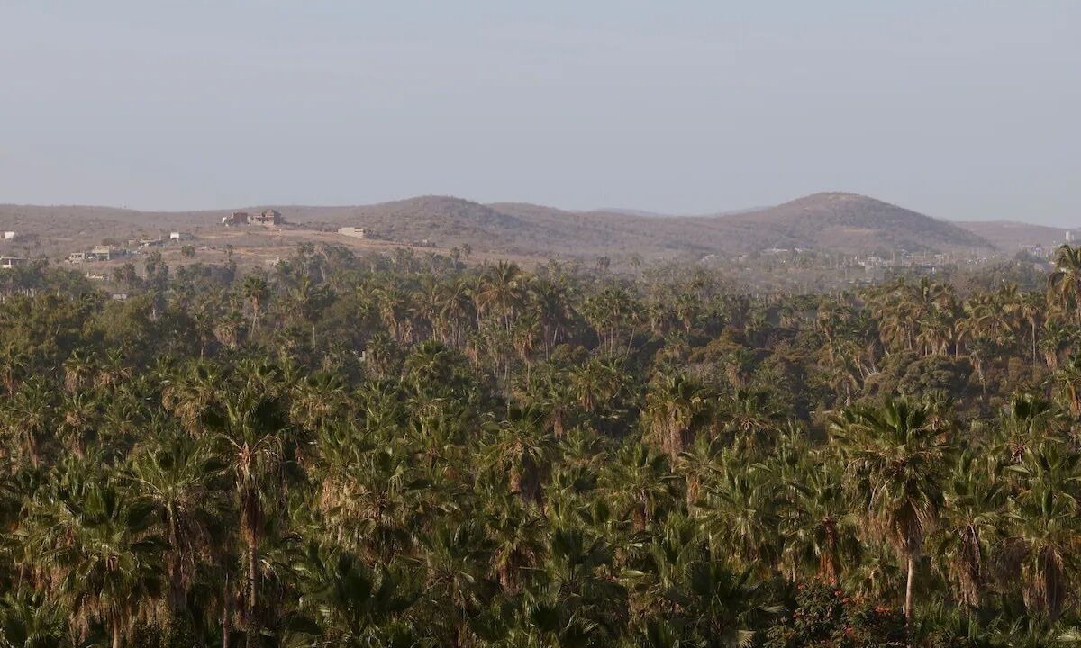 Photo of Others in Todos Santos