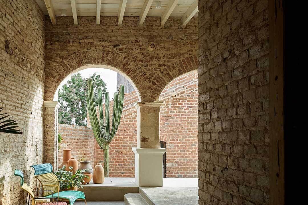Photo of Others in Todos Santos