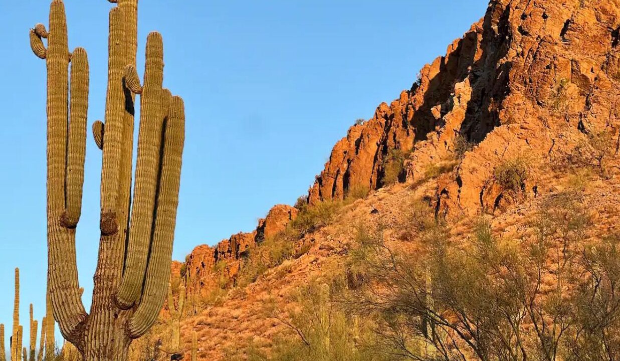 Photo of Others in Phoenix