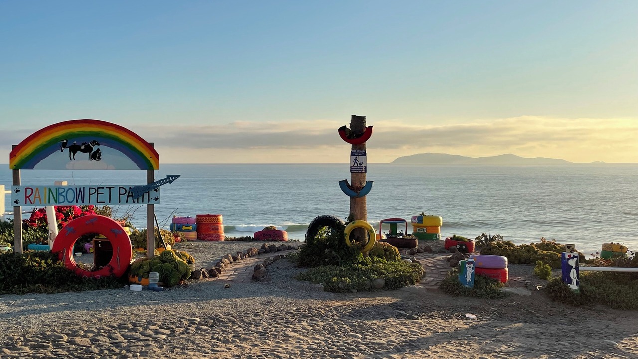 Photo of Others in San Antonio del Mar