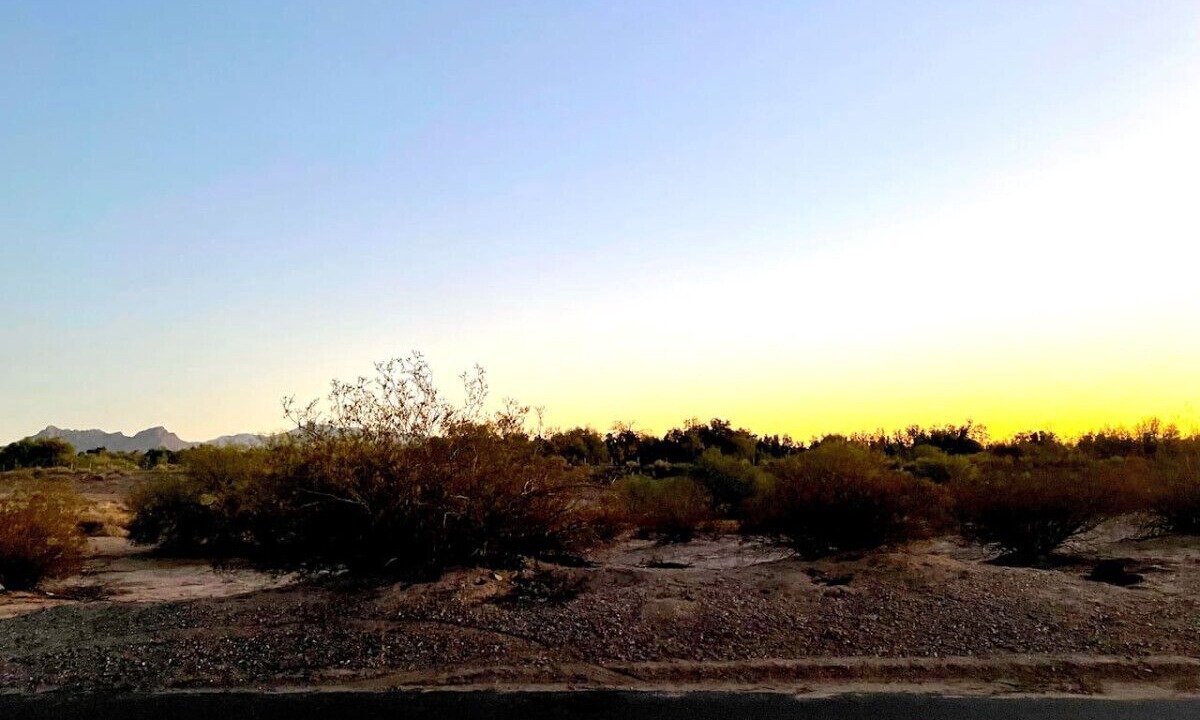 Photo of Others in Marana