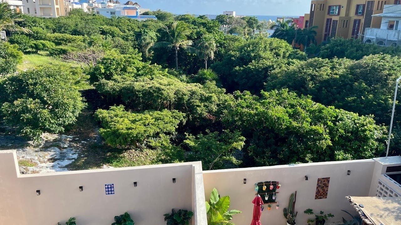 Photo of Outdoor in Isla Mujeres
