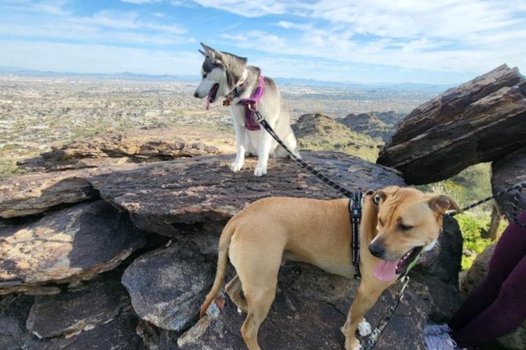 Photo of Others in Phoenix