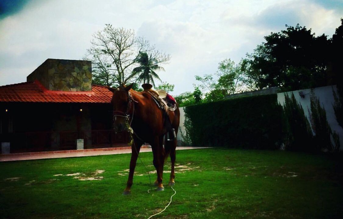 Photo of Others in Comalcalco