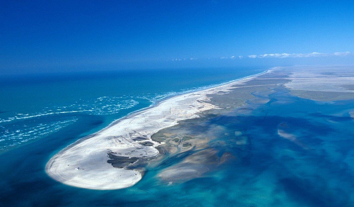 Photo of Others in Puerto Penasco