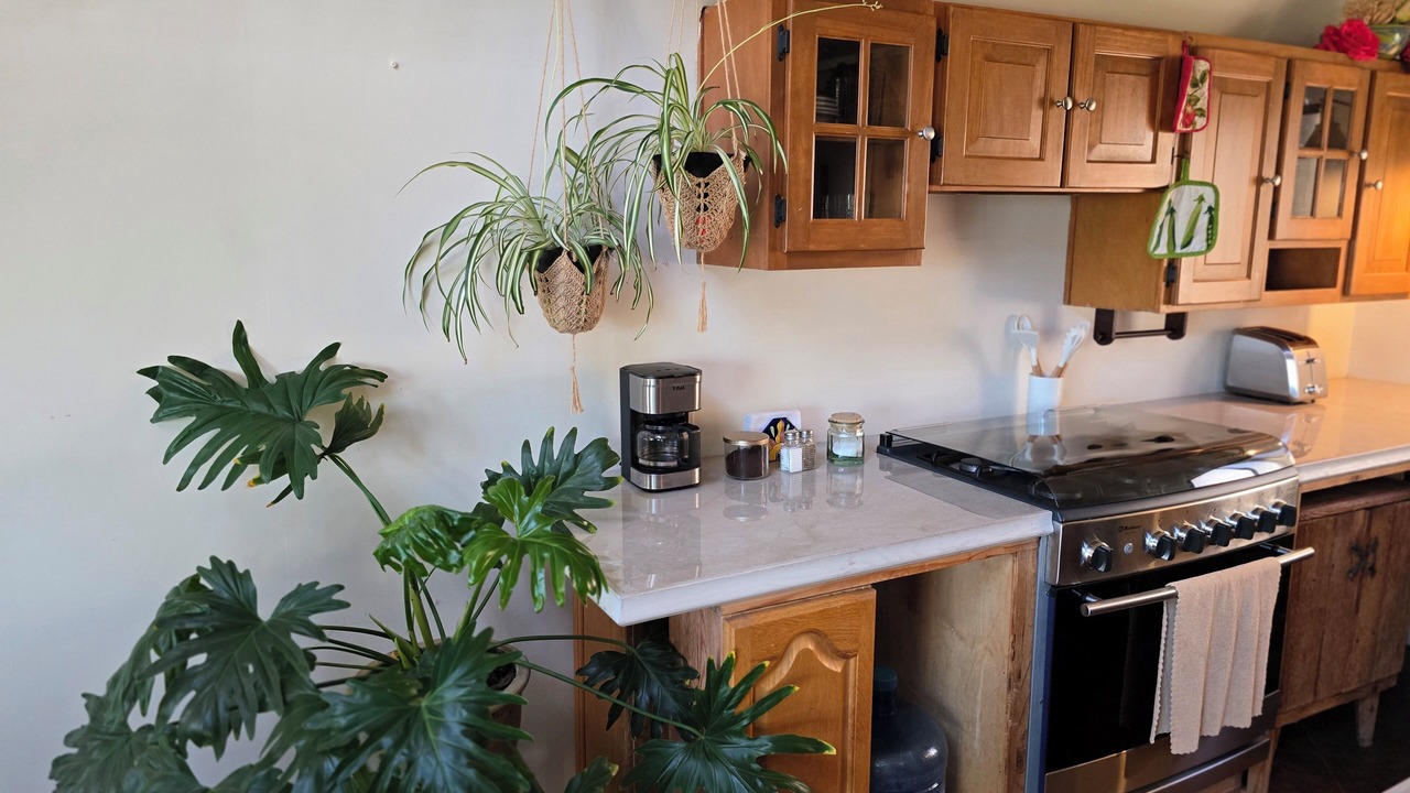 Photo of Kitchen in Ensenada