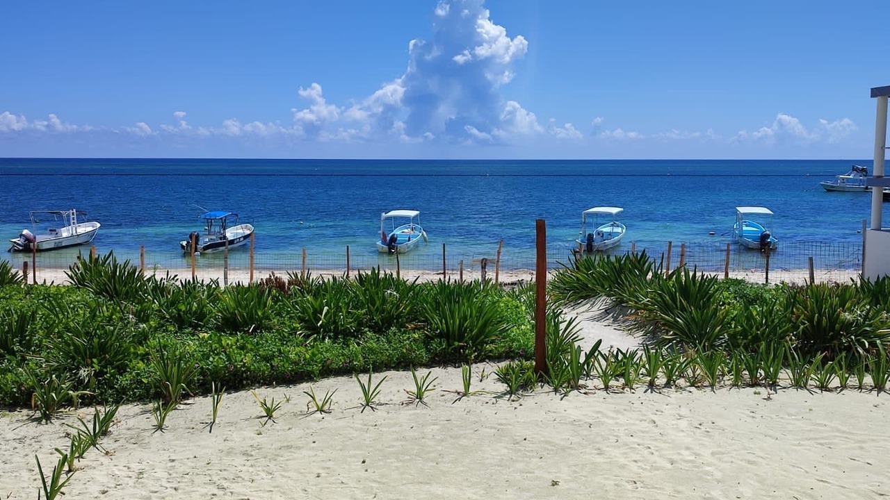 Photo of Others in Puerto Morelos
