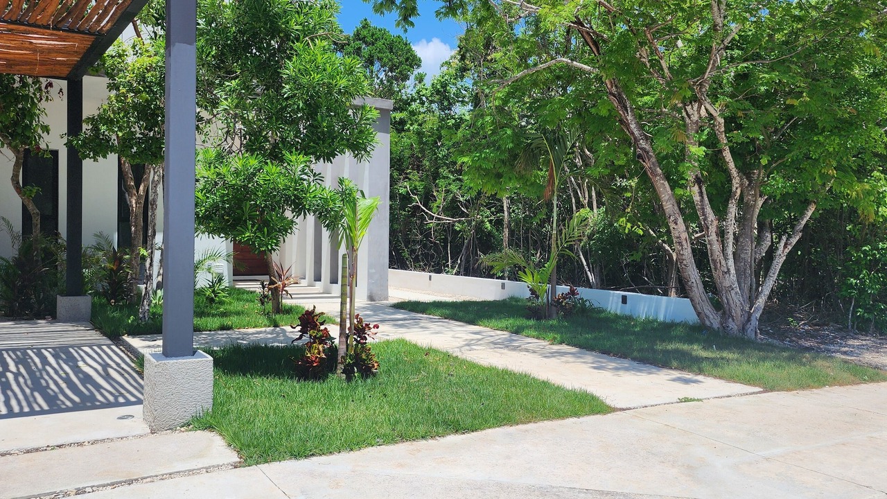 Photo of Outdoor in Akumal