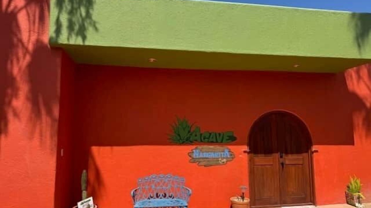 Photo of Others in Buenavista