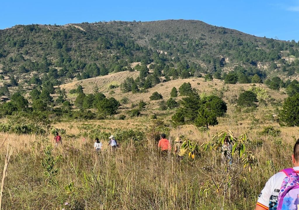 Photo of Others in Chapultenango