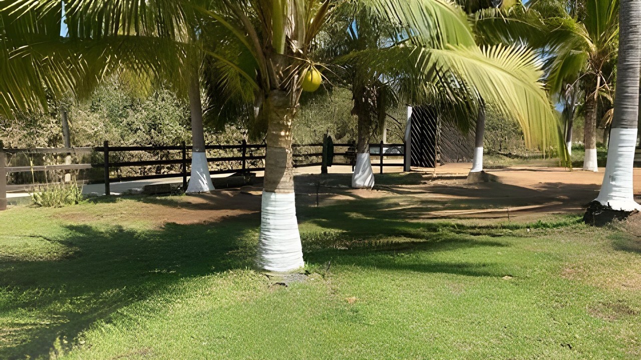 Photo of Outdoor in Saladita