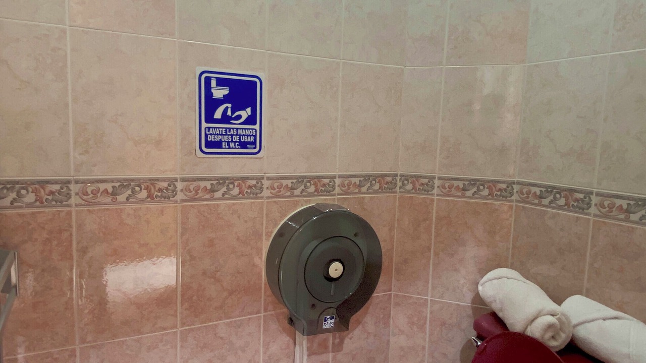 Photo of Bathroom in Mazamitla