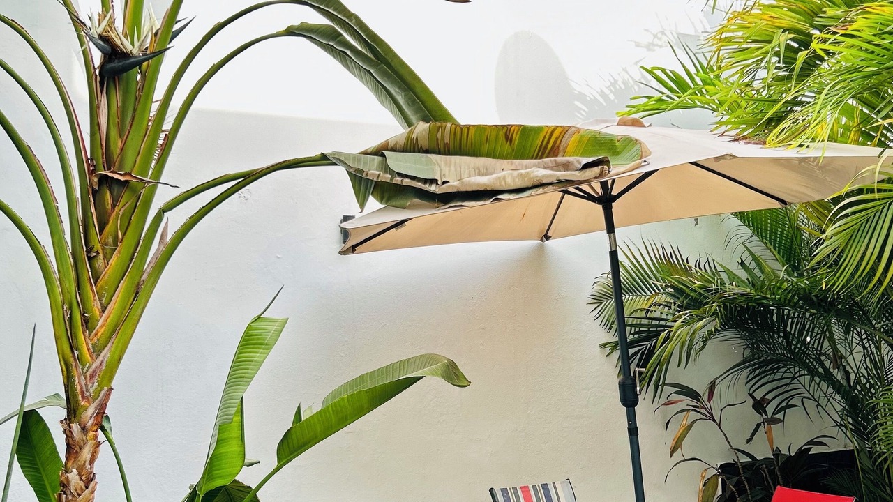 Photo of Outdoor in Mazatlan