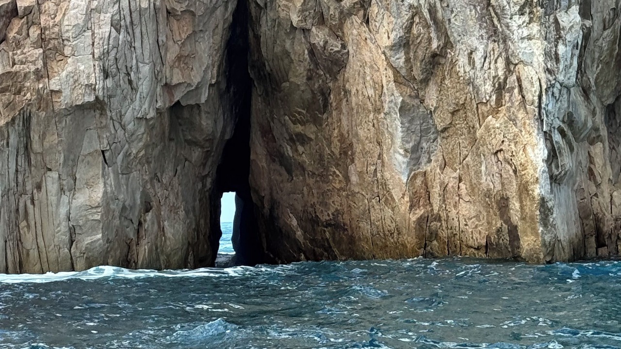 Photo of Others in San Jose del Cabo