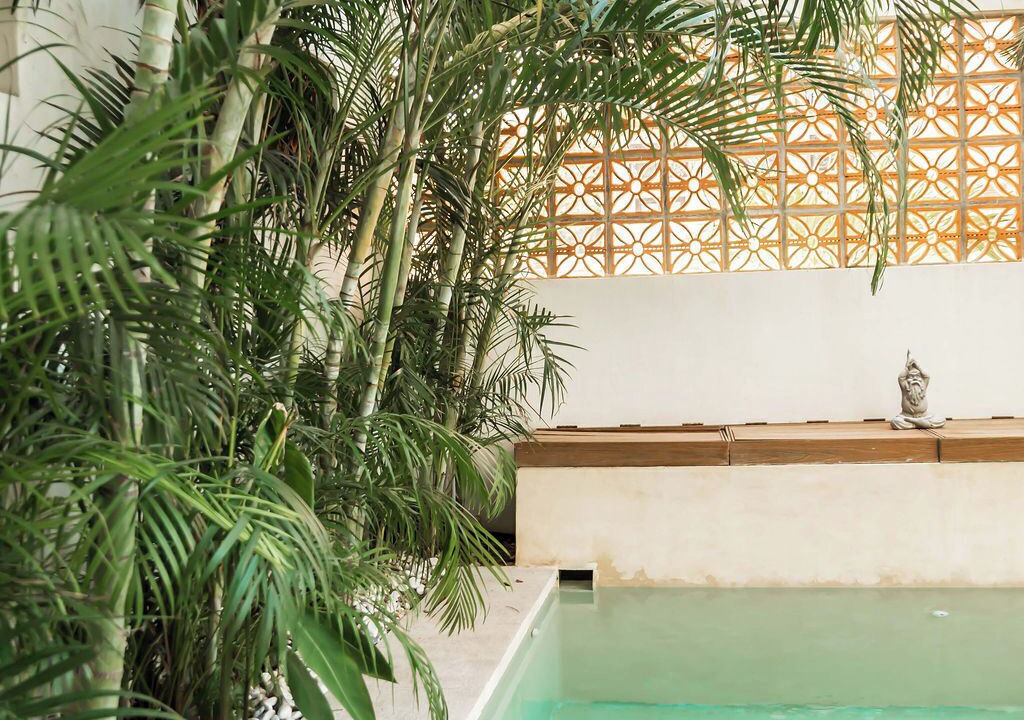 Photo of Outdoor in Punta de Mita