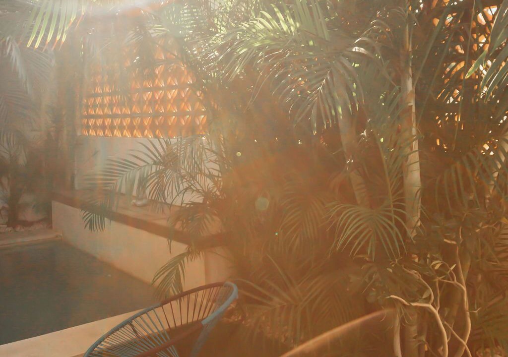 Photo of Outdoor in Punta de Mita