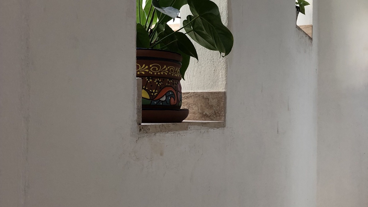 Photo of Others in La Penita de Jaltemba
