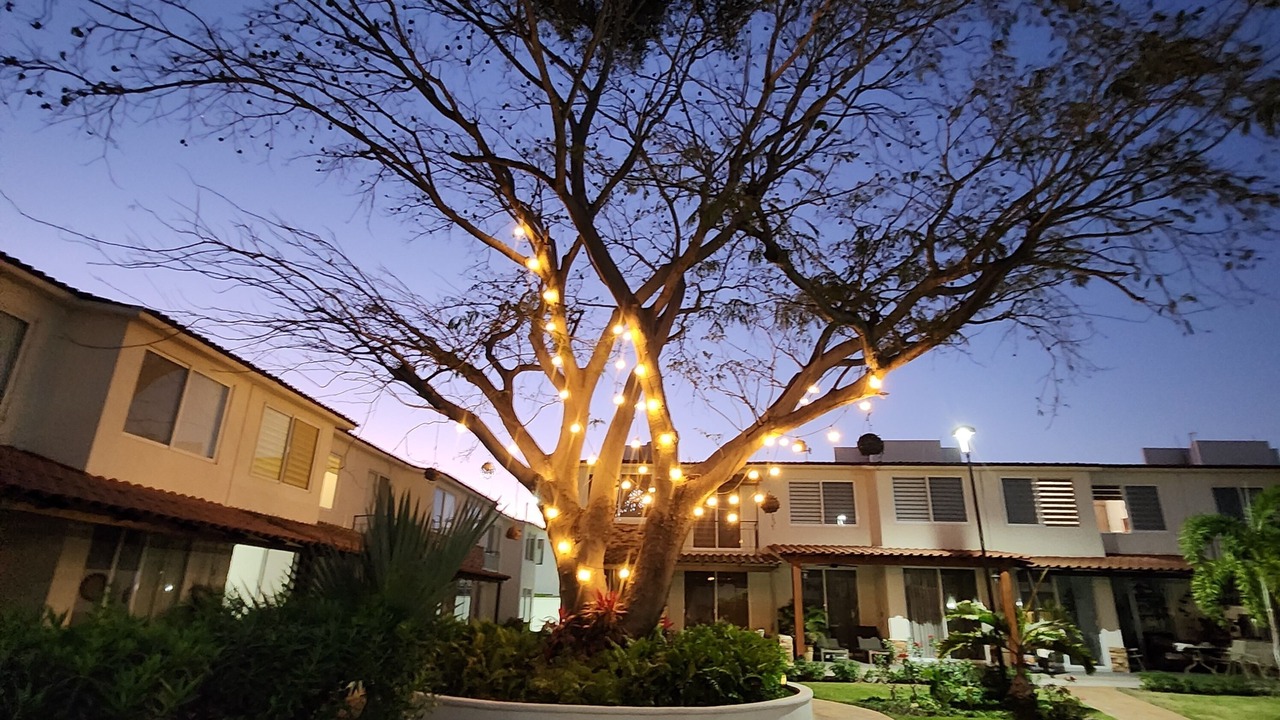 Photo of Outdoor in Puerto Vallarta