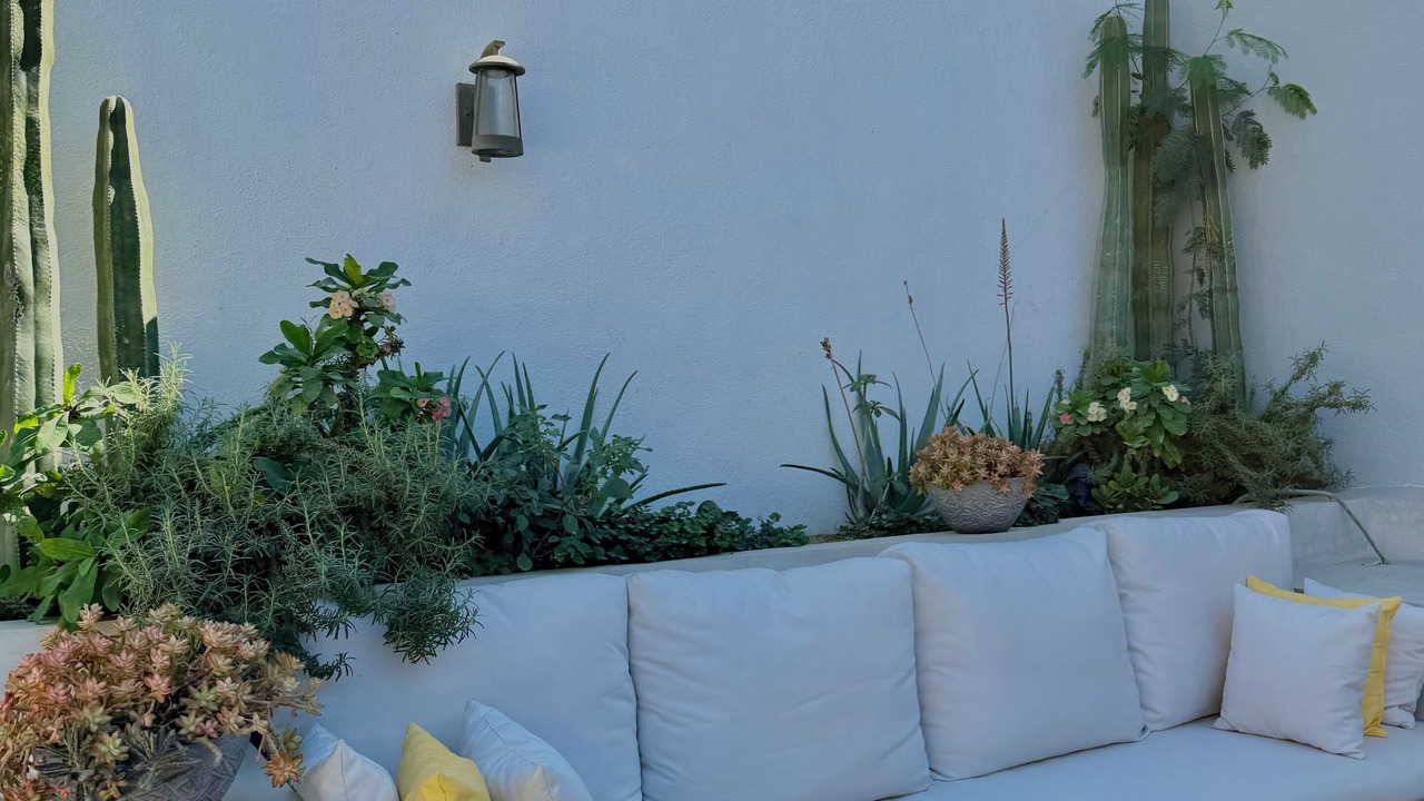 Photo of Outdoor in Cabo San Lucas