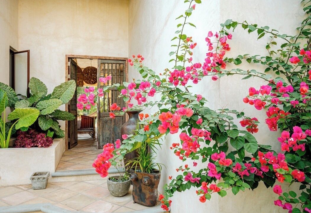 Photo of Outdoor in Saladita