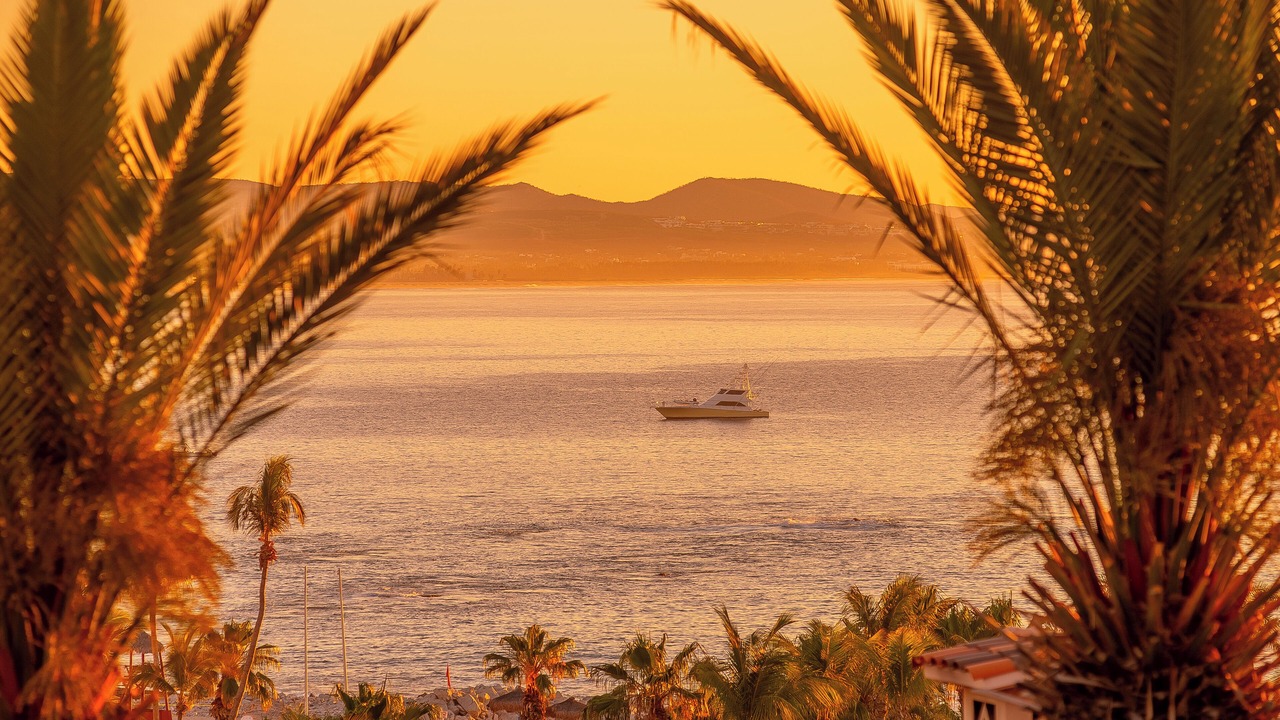 Photo of Others in Palmilla