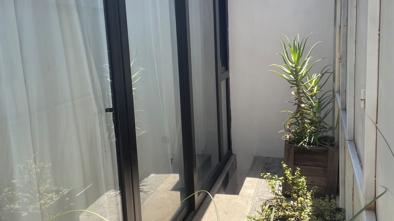 Photo of Outdoor in Centro