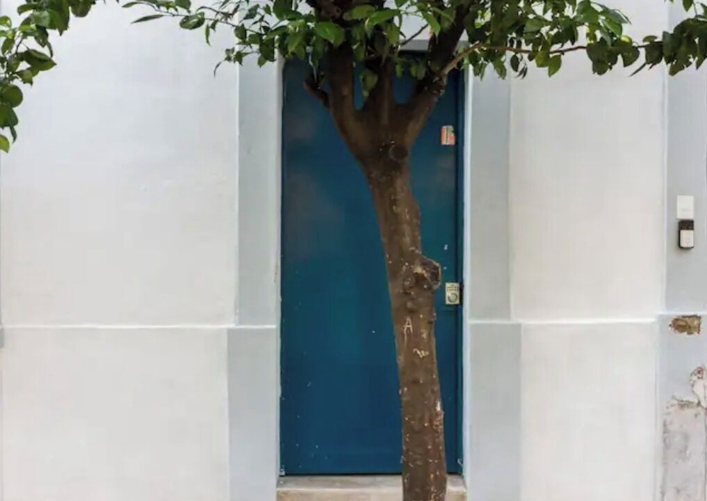 Photo of Outdoor in Centro