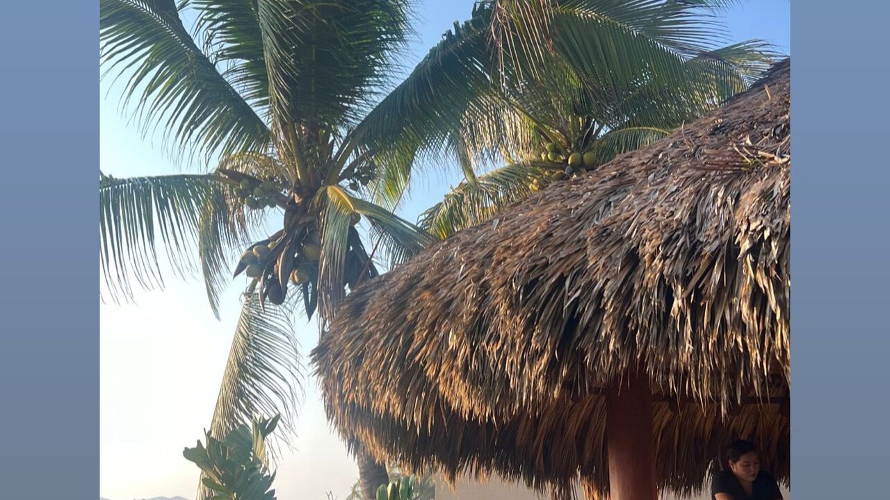 Photo of Outdoor in Barra de Potosi