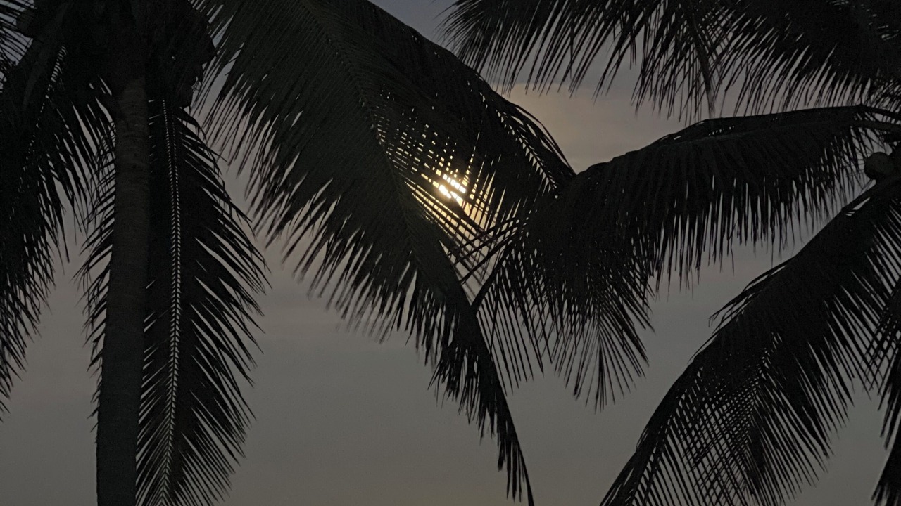 Photo of Others in Barra de Potosi