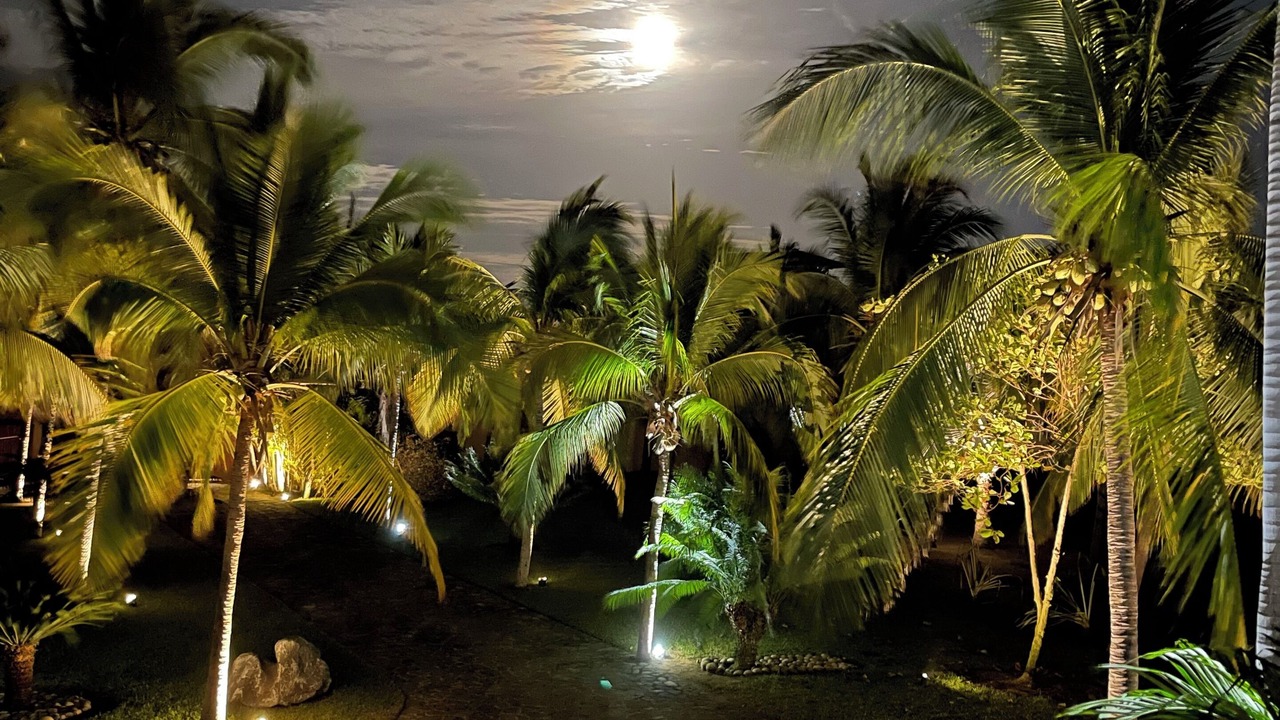 Photo of Outdoor in Barra de Potosi