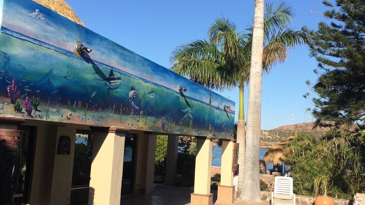 Photo of Outdoor in San Carlos