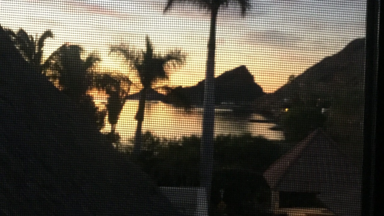 Photo of Others in San Carlos
