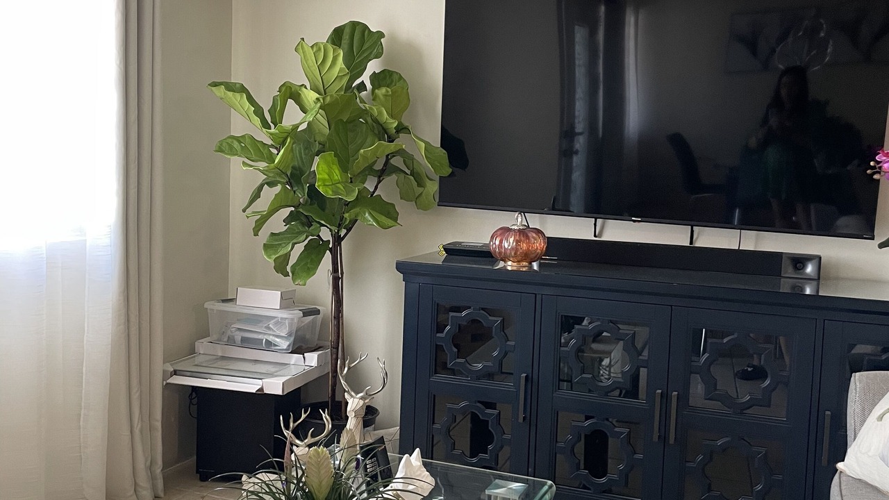 Photo of Livingroom in La Joya