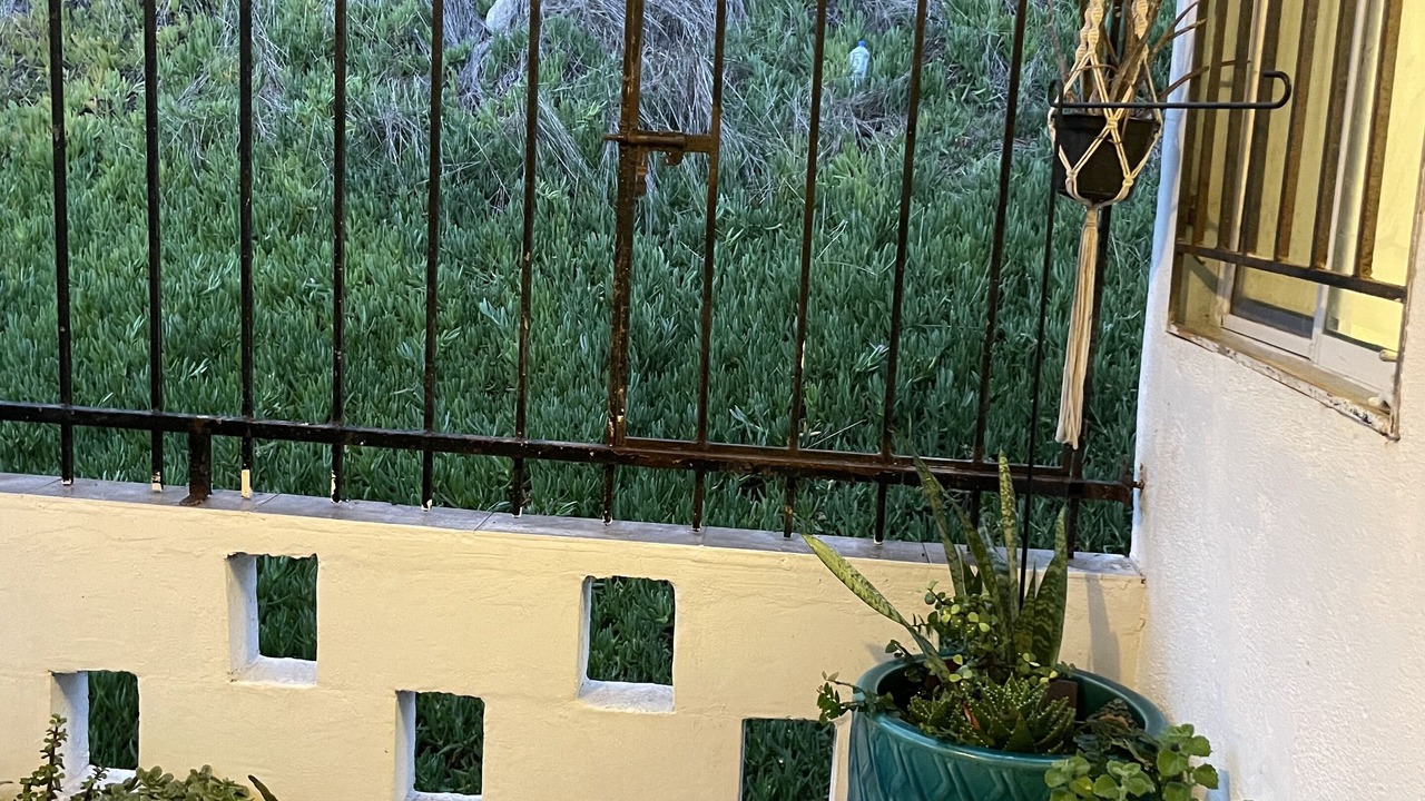Photo of Patio Balcony in La Joya