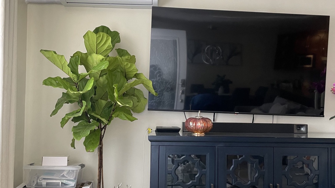 Photo of Livingroom in La Joya