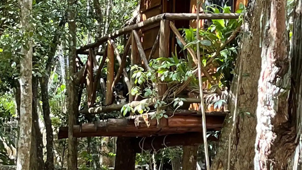 Photo of Outdoor in Punta de Mita