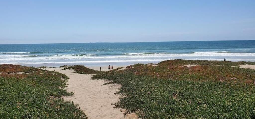 Photo of Others in Ensenada