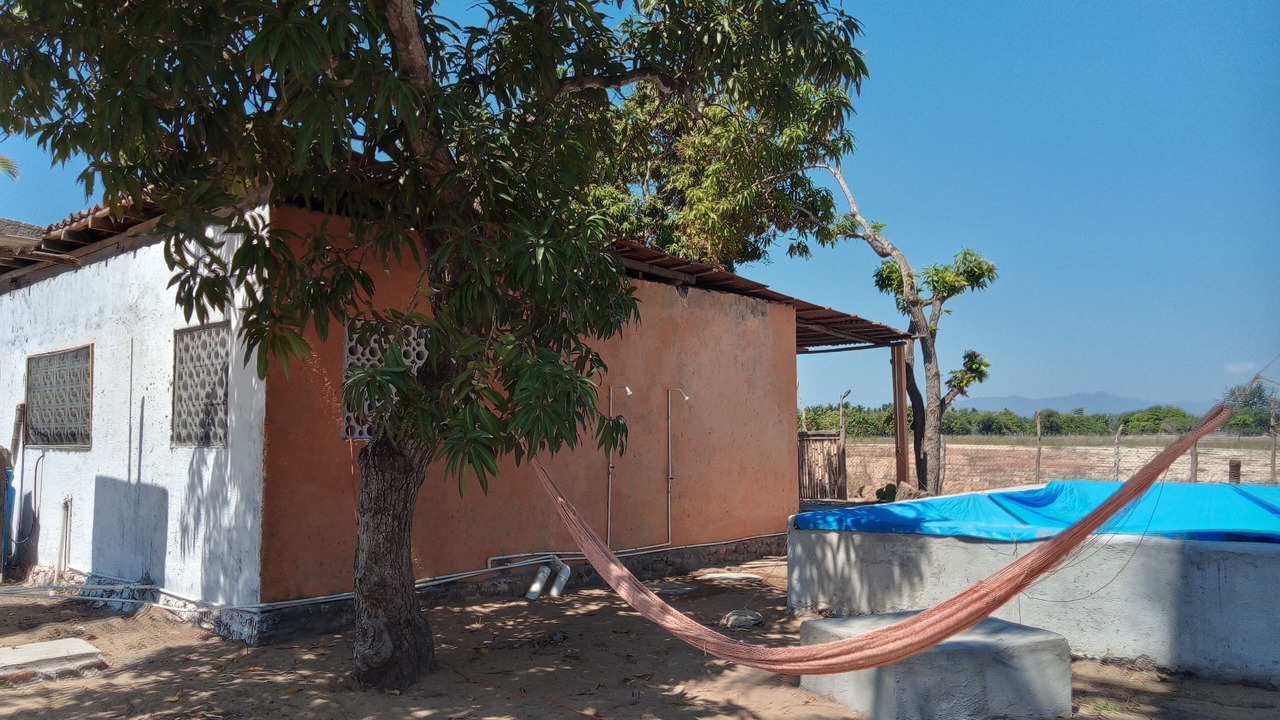 Photo of Outdoor in Zihuatanejo